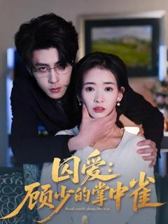 囚爱：顾少的掌中雀