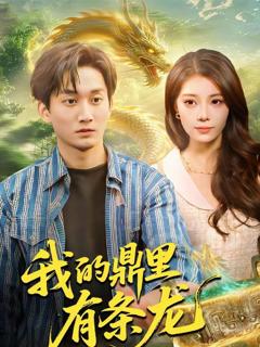 《我的鼎里有条龙》