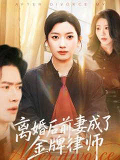 《离婚后前妻成了金牌律师》