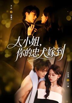 大小姐，你的忠犬嫁到