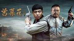 《苦菜花（2026）》