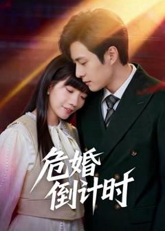 《危婚倒计时》