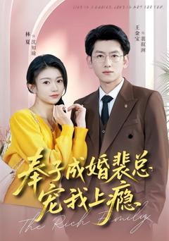 《奉子成婚裴总宠我上》