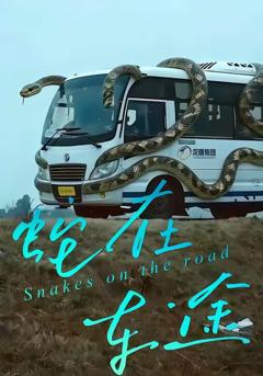 《蛇在车途》