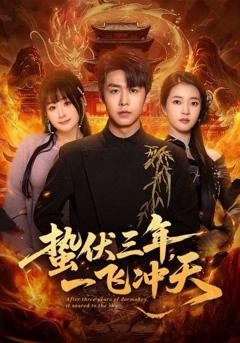 《蛰伏三年，一飞冲天》