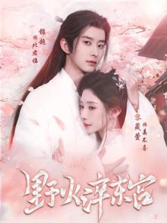 《野火淬东宫》