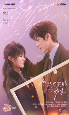 你是迟来的欢喜