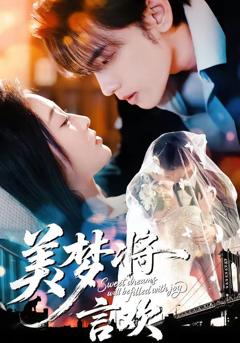 《美梦将言欢》