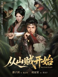 《从山贼开始》