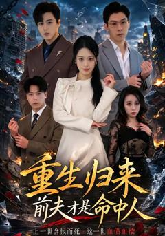 《重生归来：前夫才是命中人》