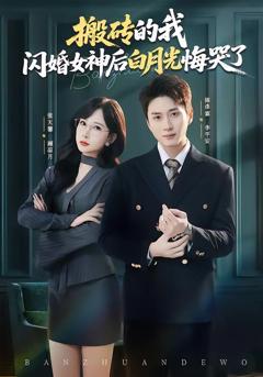 《搬砖的我，闪婚女神后白月光悔哭了》