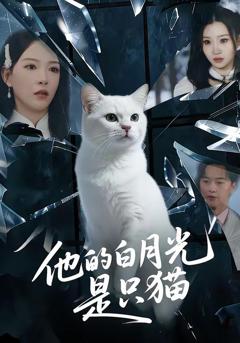 《他的白月光是只猫》