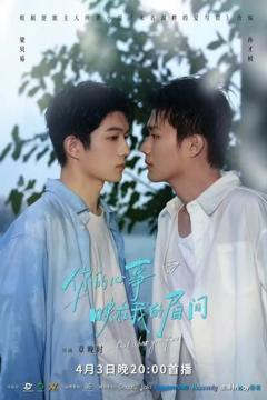 《你的心事映在我的眉间》