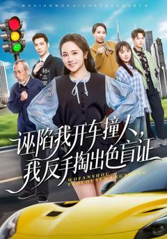 《诬陷我开车撞人，我反手掏出色盲》