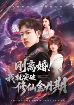 《刚离婚！我就突破修仙金丹期》