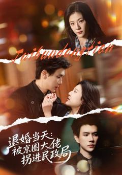 《退婚当天：被京圈大佬拐进民政局》