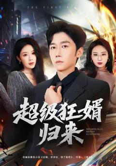 《超级狂婿归来》