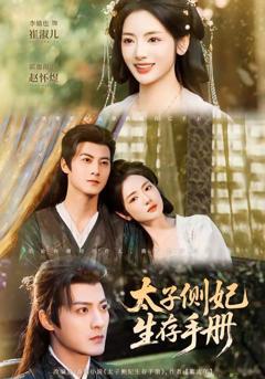 《太子侧妃生存手册》