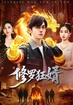 《修罗狂婿》