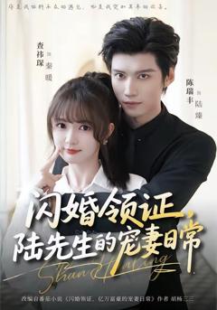 闪婚领证，陆先生的宠妻日常