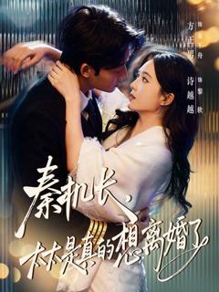 《秦机长，太太是真的想离婚了》