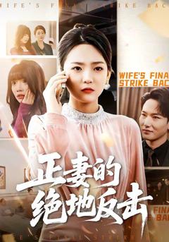 《正妻的绝地反击》
