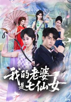 《我的老婆是七仙女》