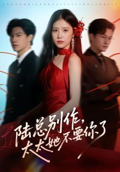 《陆总别作，太太她不要你了》