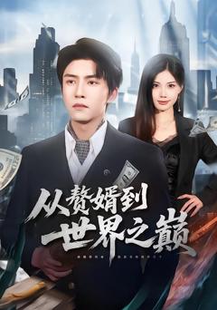 《赘婿到世界之巅》