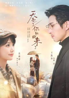 《天亮了，你就回来了》