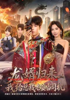 《龙婿归来，我给总裁老婆当司机》