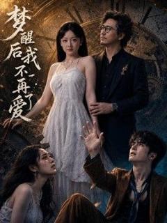 《梦醒后我不再爱了》