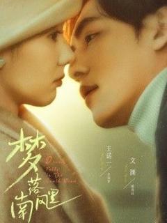 《梦落南风里》