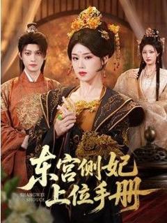 《东宫侧妃上位手册》