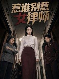 《惹谁别惹女律师》