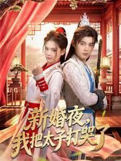 《新婚夜，我把太子打哭了》