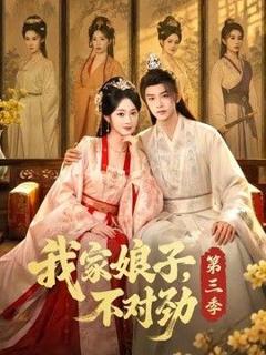 《我家娘子，不对劲第三季》