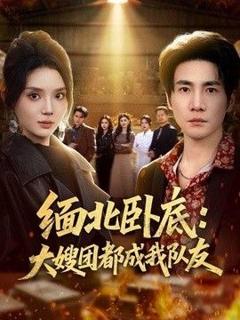 《缅北卧底：大嫂团都成我队友》