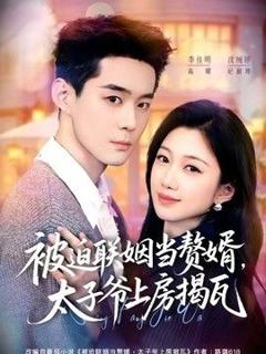 《被迫联姻当赘婿，太子爷上房揭瓦》