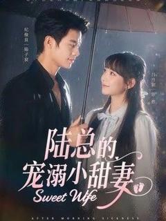 《陆总的宠溺小甜妻》