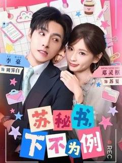 《苏秘书，下不为例》