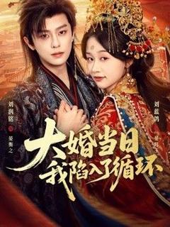《大婚当日，我陷入了循环》