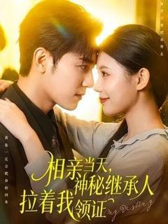 《相亲当天，神秘继承人拉着我领证》