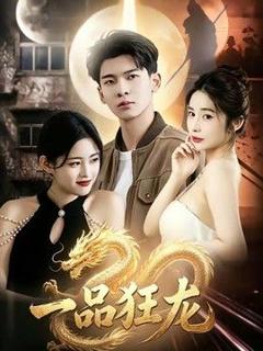 《一品狂龙》