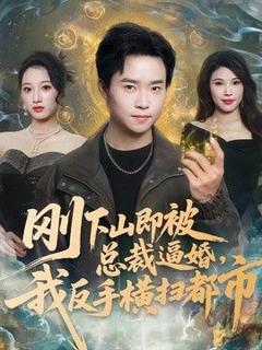 《刚下山即被总裁逼婚，我反手横扫都市》