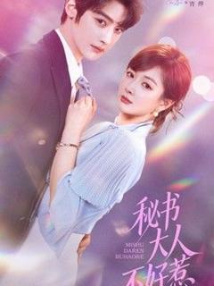 《秘书大人不好惹》