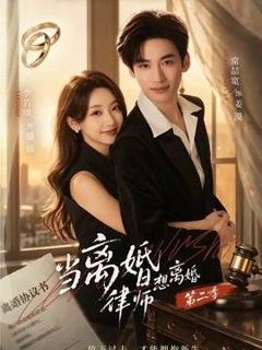 《当离婚律师想离婚第二季》