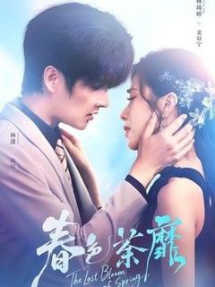 《春色荼靡》