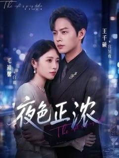 《夜色正浓（2026）》