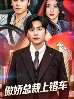 《傲娇总裁上错车》